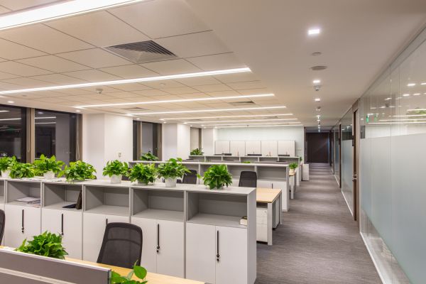 LED Lighting