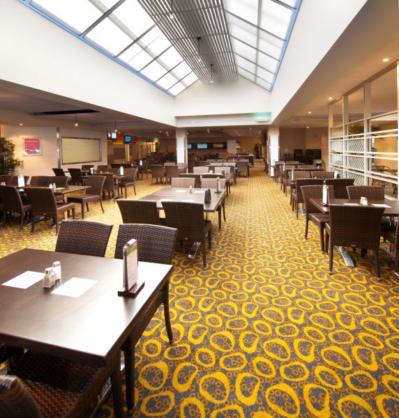 Bistro Lights Installation in Albany